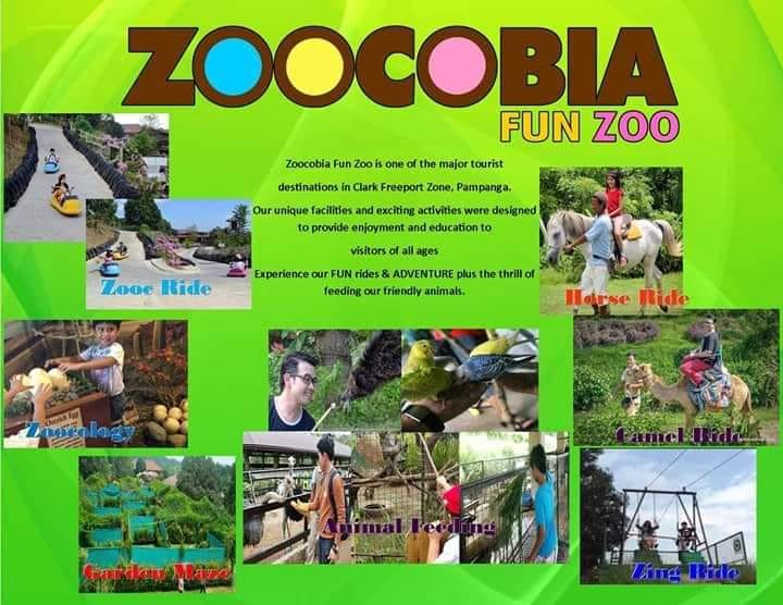 Thrills await everyone with our FUN Rides and animal feedings! ZOOCOBIA BIRD PARK & FUN ZOO CLARK, PAMPANGA!?