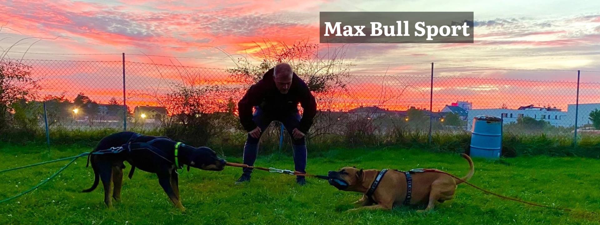 Max Bull Sport (Canis Familiaris)