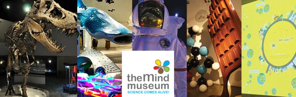 The Mind Museum